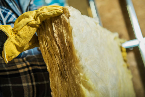 Best Insulation Installation Services in Rutgers University Livingston Campus, NJ